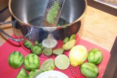 How do you make Lemon or Lime Cordial | Find a recipe for Lemon or Lime Cordial