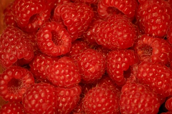 How to make Raspberry Vinegar | Rosie Makes Jam Recipes
