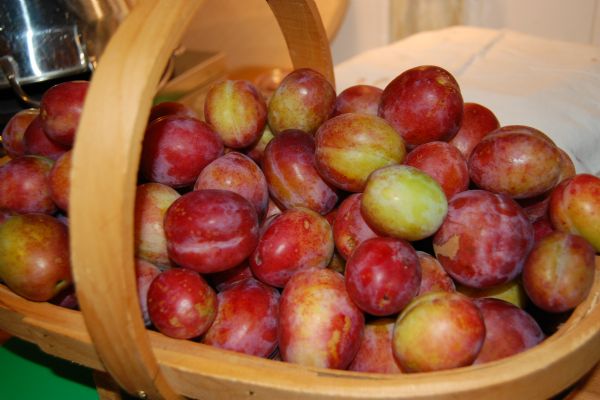 How do you make Plum Sauce | Find a recipe for Plum Sauce