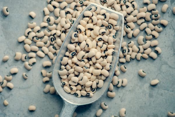 How do you make Your First Pressure Can - Beans | Find a recipe for Your First Pressure Can - Beans
